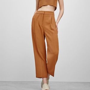 Aritzia Wilfred Cauchy Culotte Pants